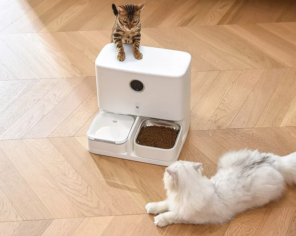 automatic small pet feeder