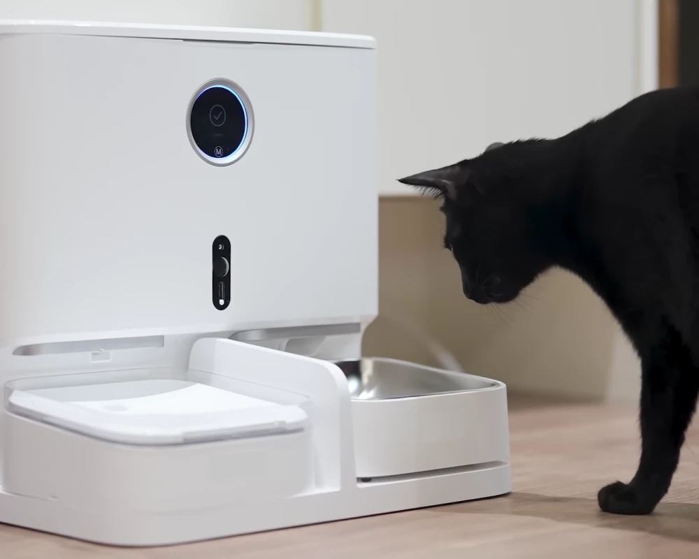 automatic small pet feeder